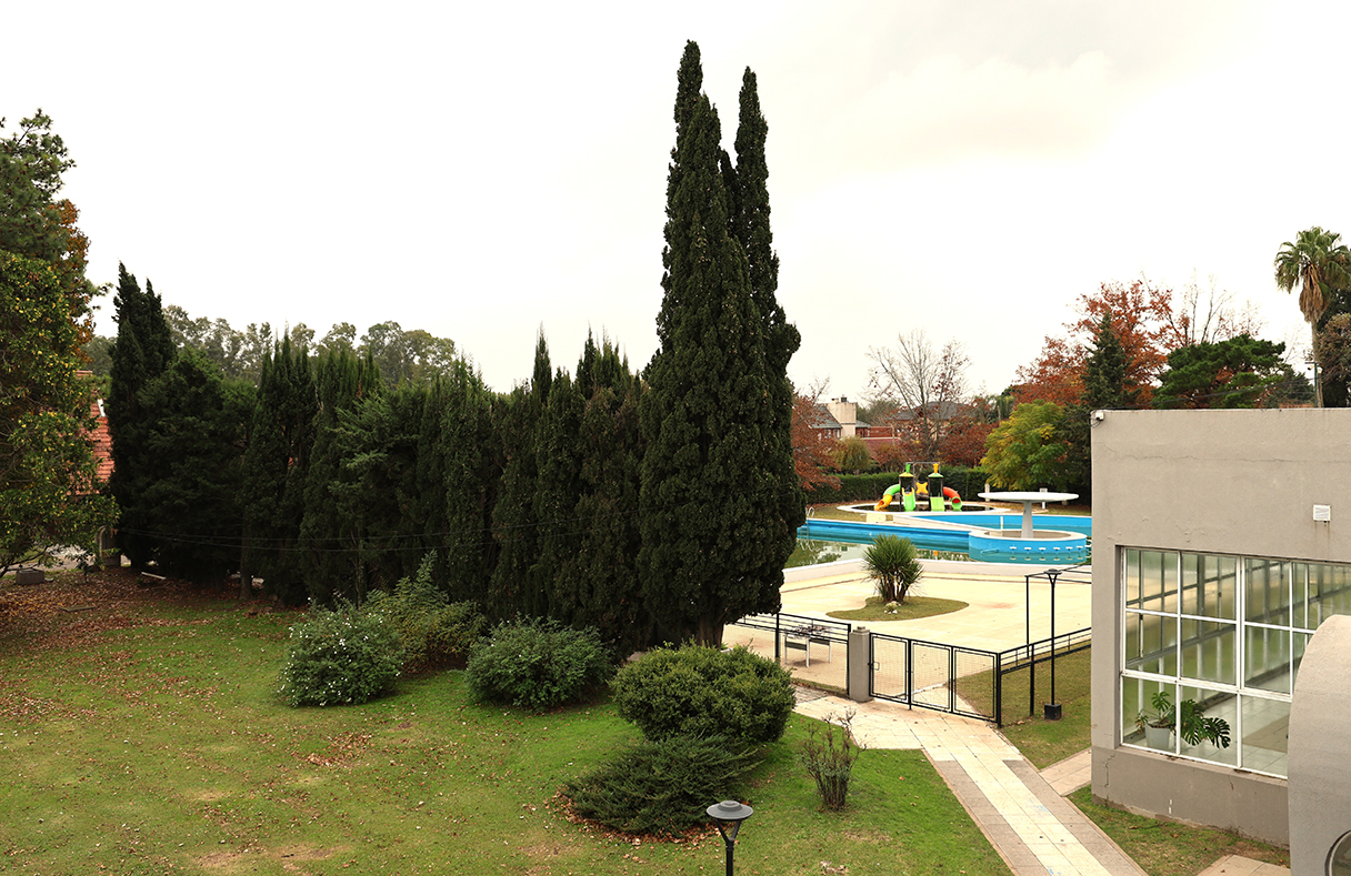 Galería Venado II