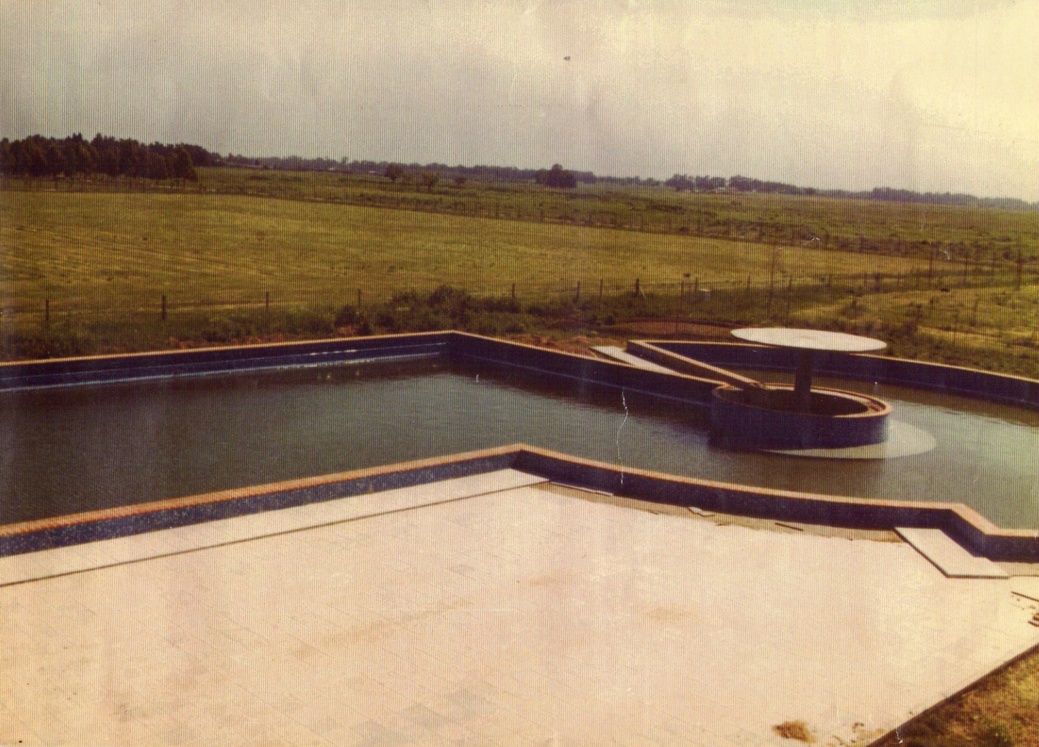 Venado 2
